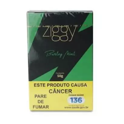 Ziggy burley mint