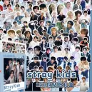 Stickers Straykids