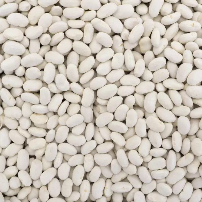FREJOL BLANCO 400GR