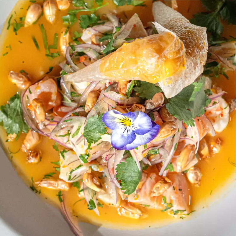 CEVICHE BACK🌶️🌶️