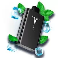 V80  Black Icy Mint