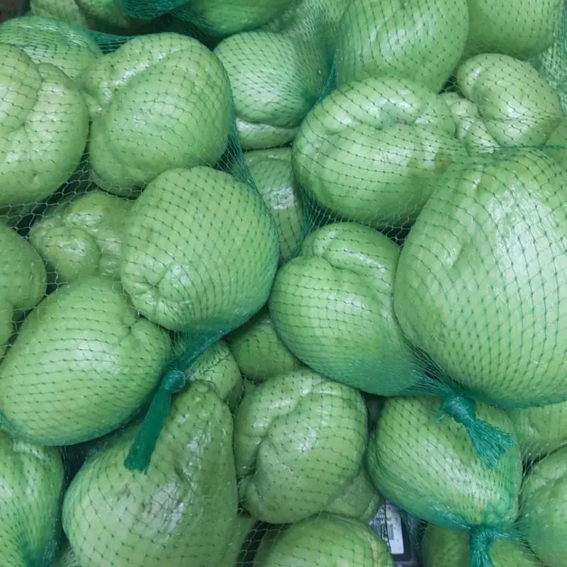 CHAYOTE  TIERNO MALLA 5 UNDS