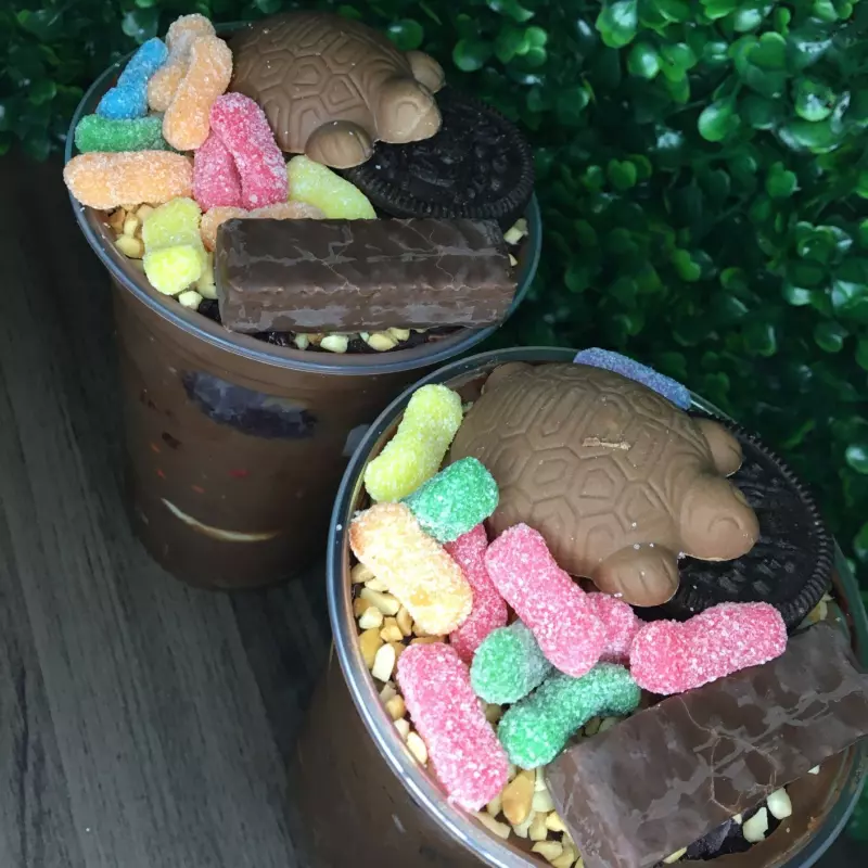 AÇAÍ TRUFADO 500 ML CHOCOLATUDO