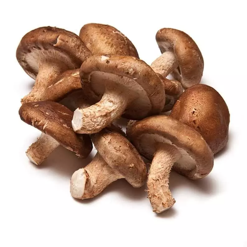 Shiitake organico x250gr