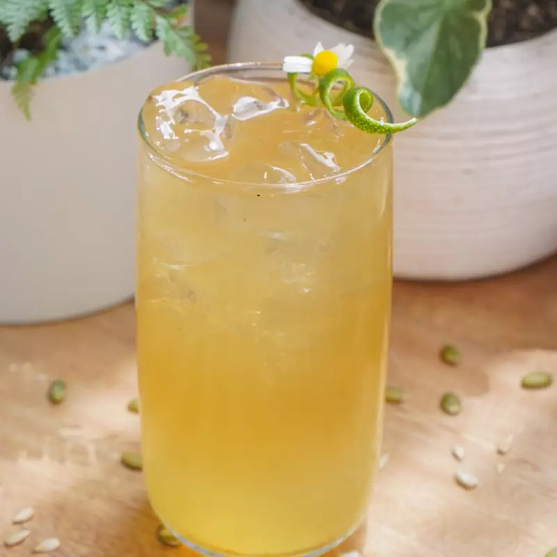 INFUSIÓN FRÍA DE LIMONCILLO