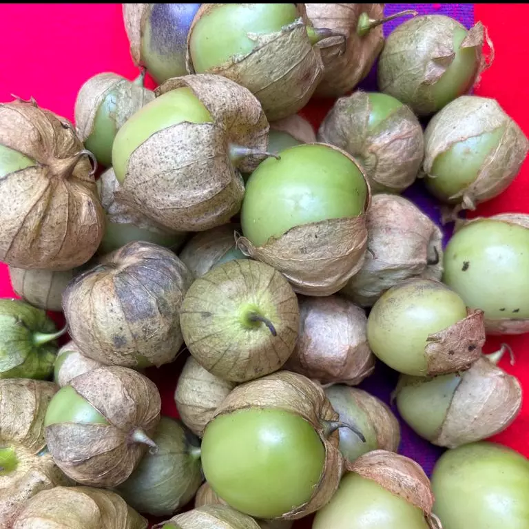Tomatillo Verde