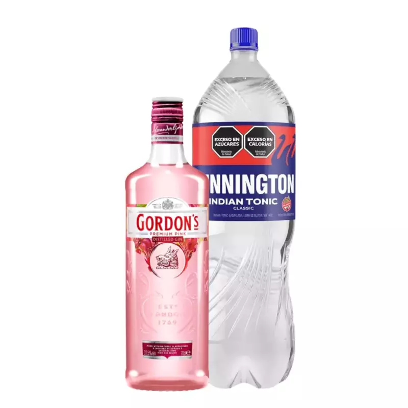 Combo gordons pink + tonic 2,25