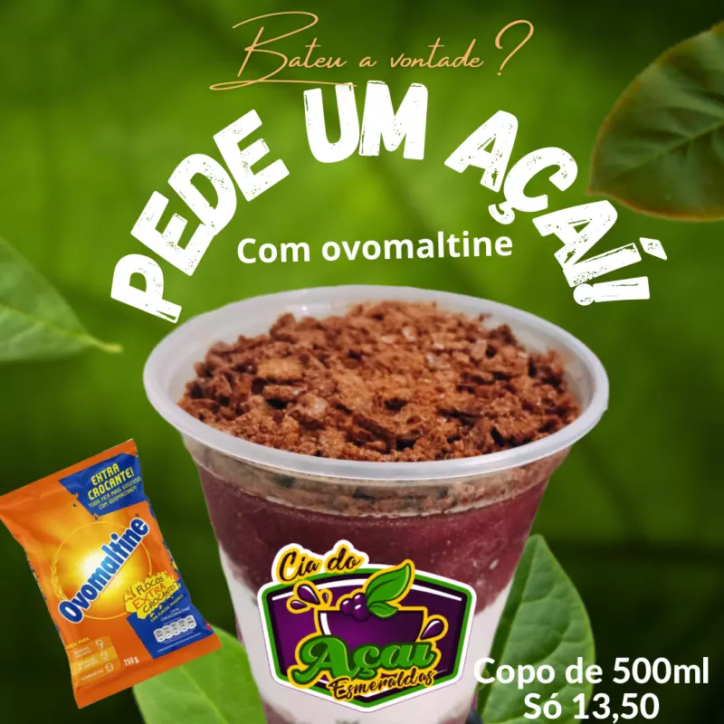 500 ml Açaí com ovomaltine(ORIGINAL)