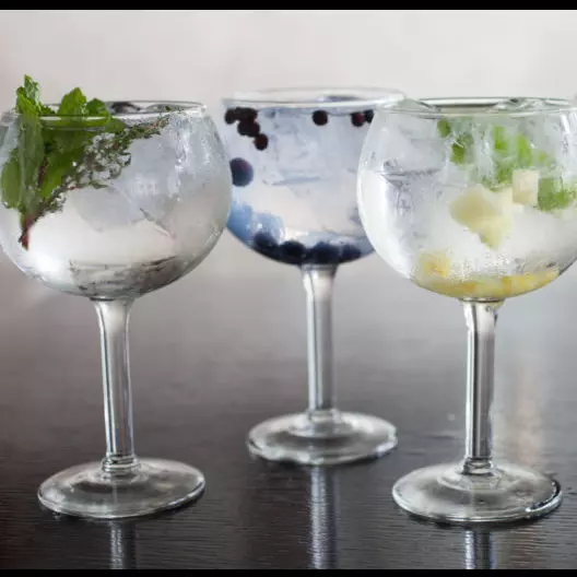 JUERGA CON  GIN TONIC 🍷🍷
