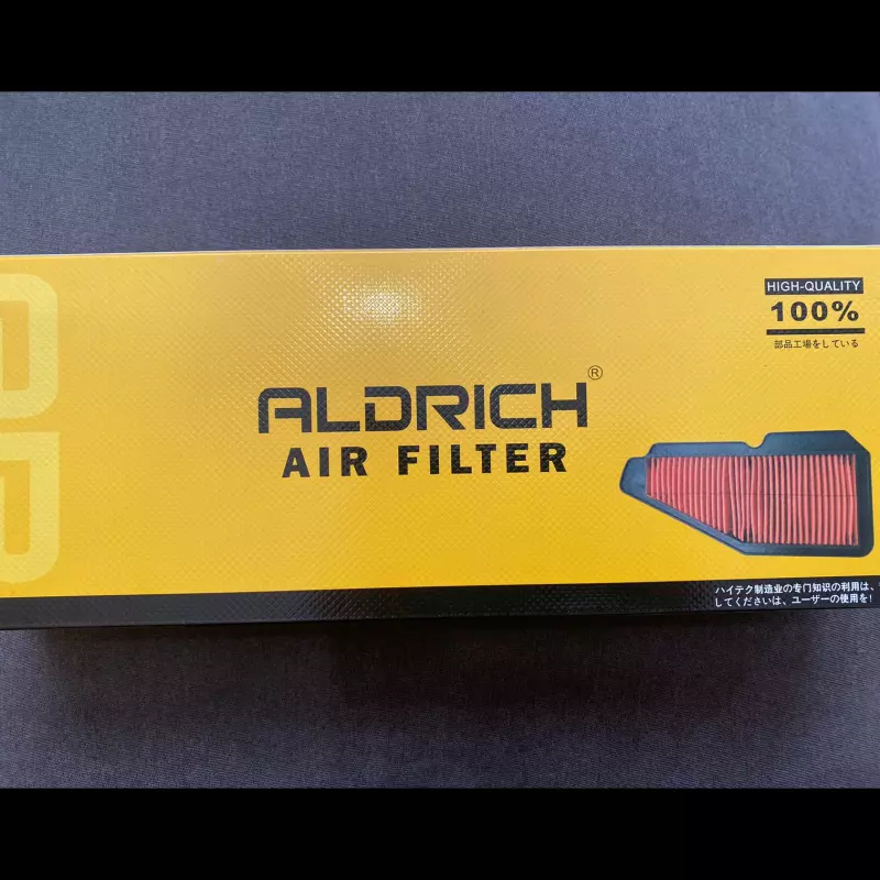 FILTRO DE AIRE (ELEMENTO) RAY-Z