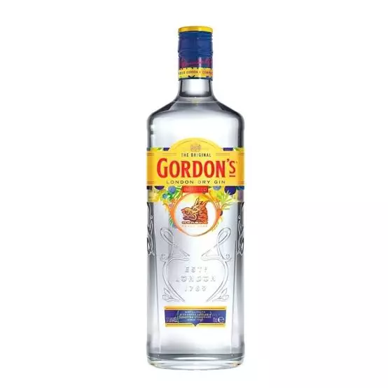Gin Gordons London Dry 750ml 🍸