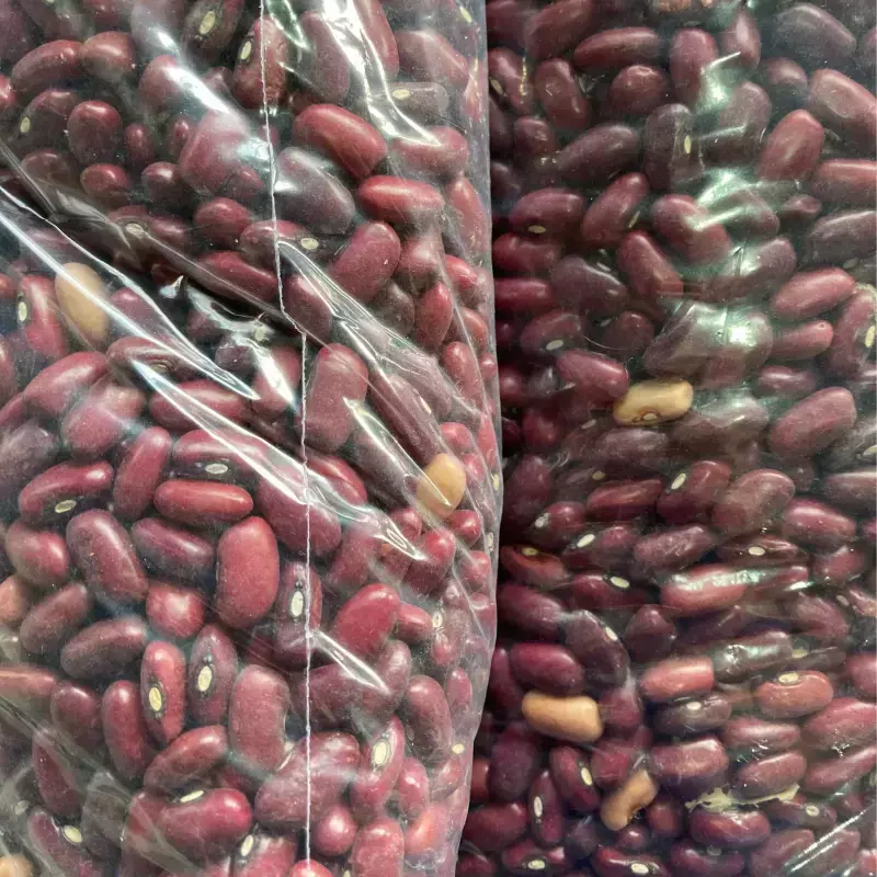 Feijão Vermelho 1 kg (Roseli e Gê)
