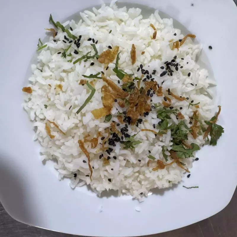 RICE(ARROZ)