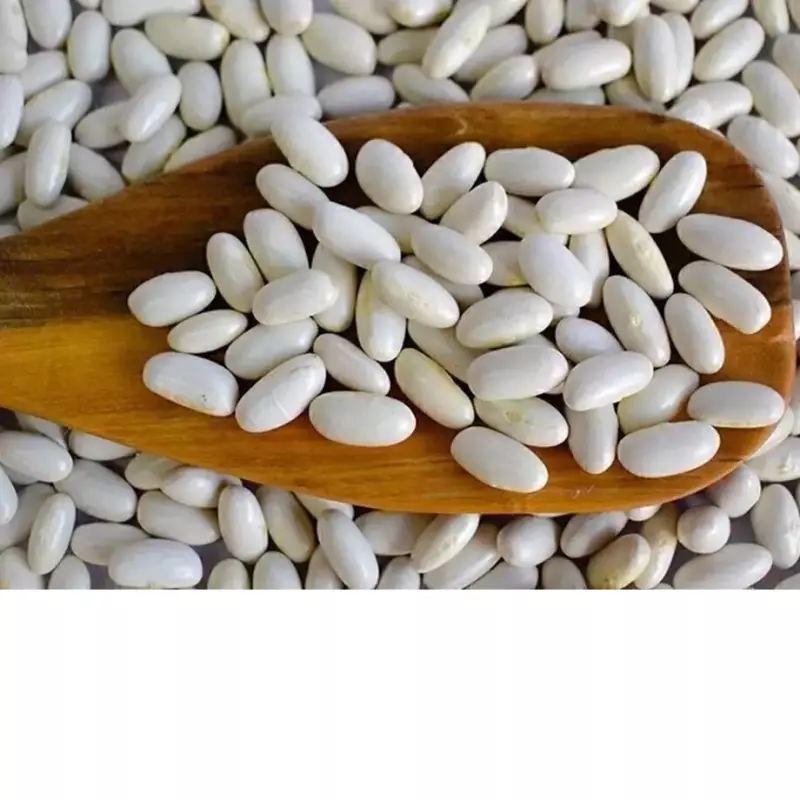 Poroto Alubia x 500gr