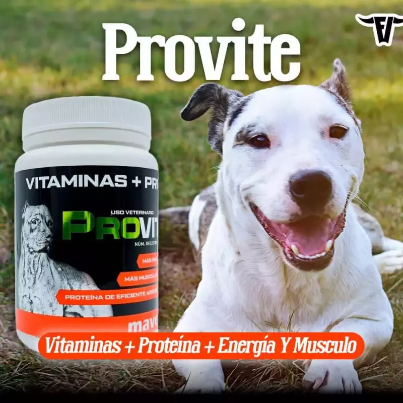 SUPLEMENTO PROVITE