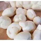 QUEIJO NOZINHO