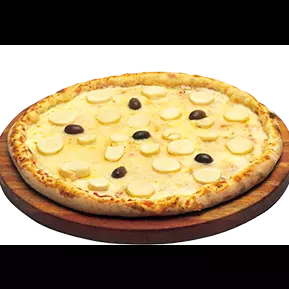 Palmito 1
