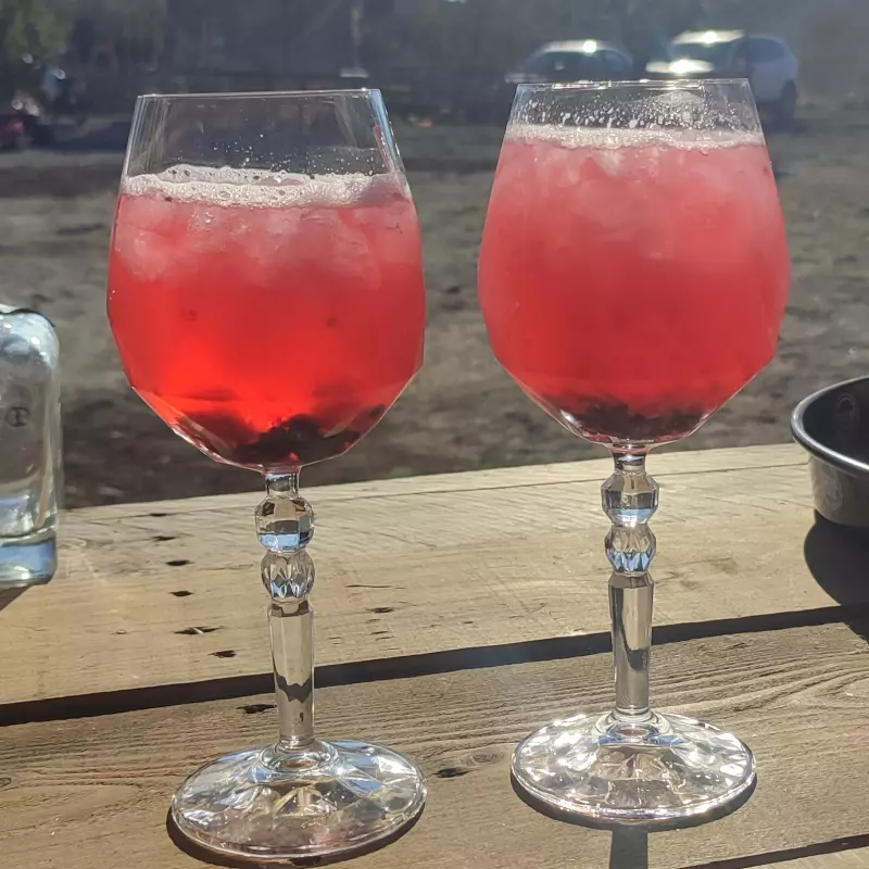 Black Berry Gin