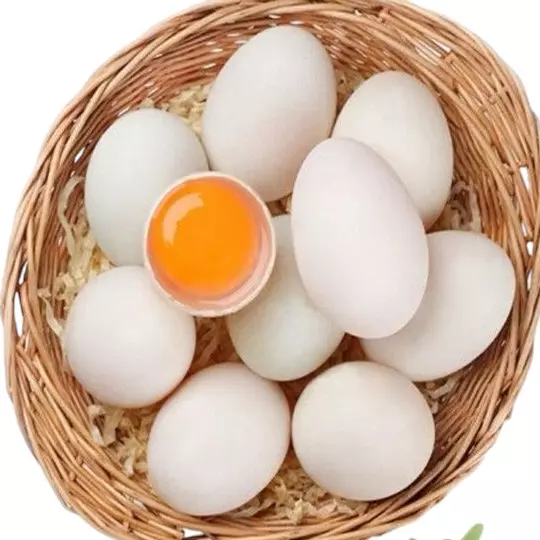 新鲜鸭蛋 huevo de pato