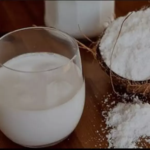 Leite de Coco em Pó vegano 100g