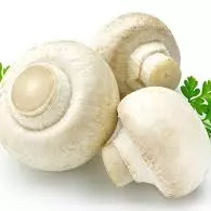 HONGOS CHAMPIÑONES  鲜菇