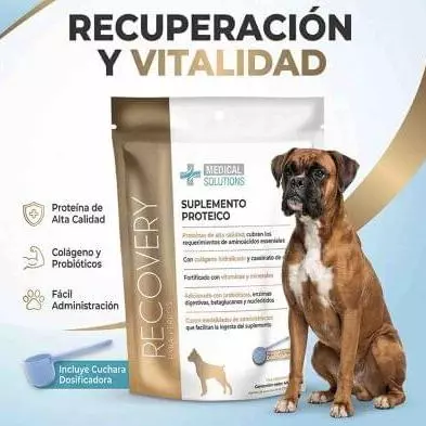 Suplemento proteico de alta calidad