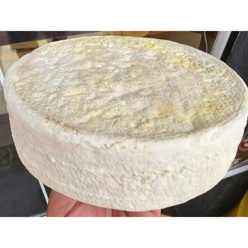 Pingo Mofo Branco