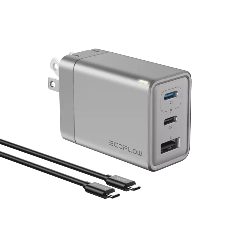 Cargador 65W Ecoflow