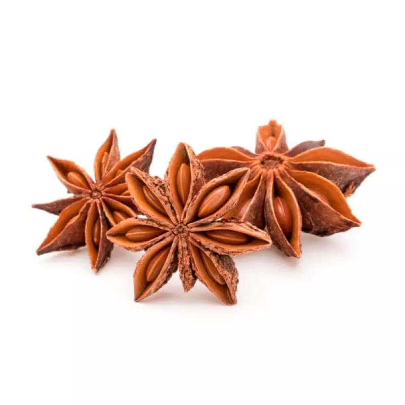 ANIS ESTRELADO 100GR