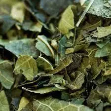 Chá Verde