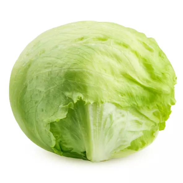 Lechuga Tradicional (1 unidad)