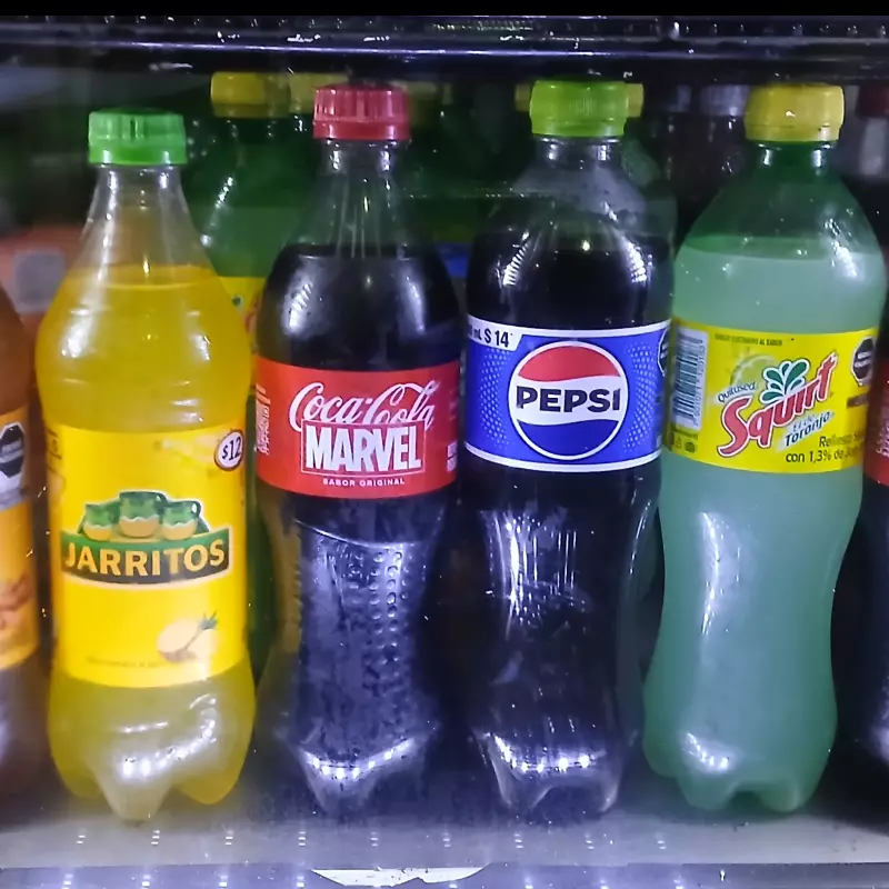 REFRESCO DE 600 ml