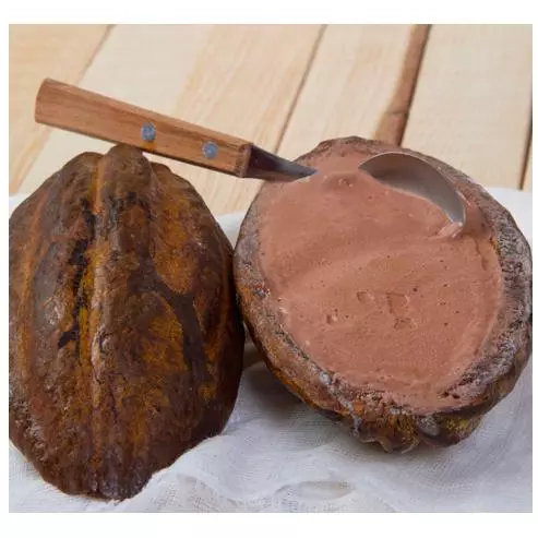 Copa de Helado de Cacao