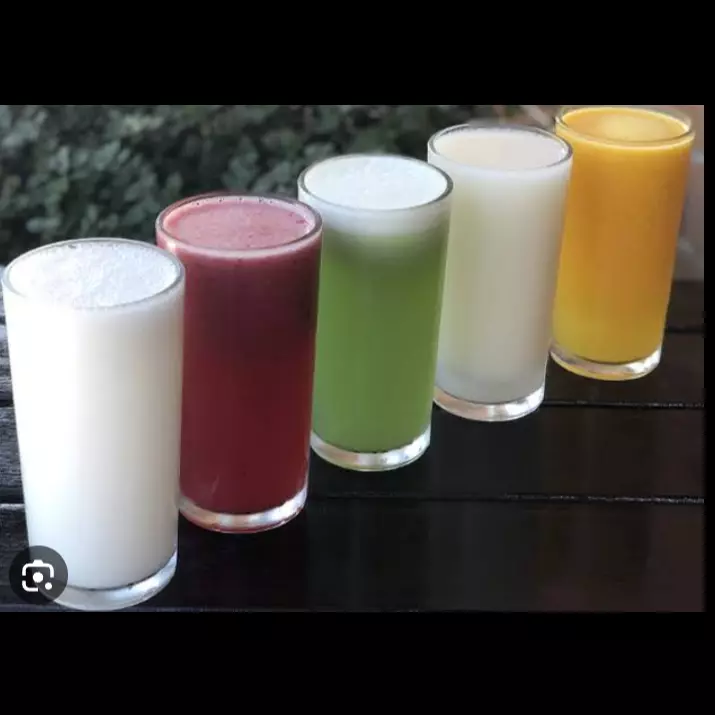 Suco de polpa c/ leite 500ml