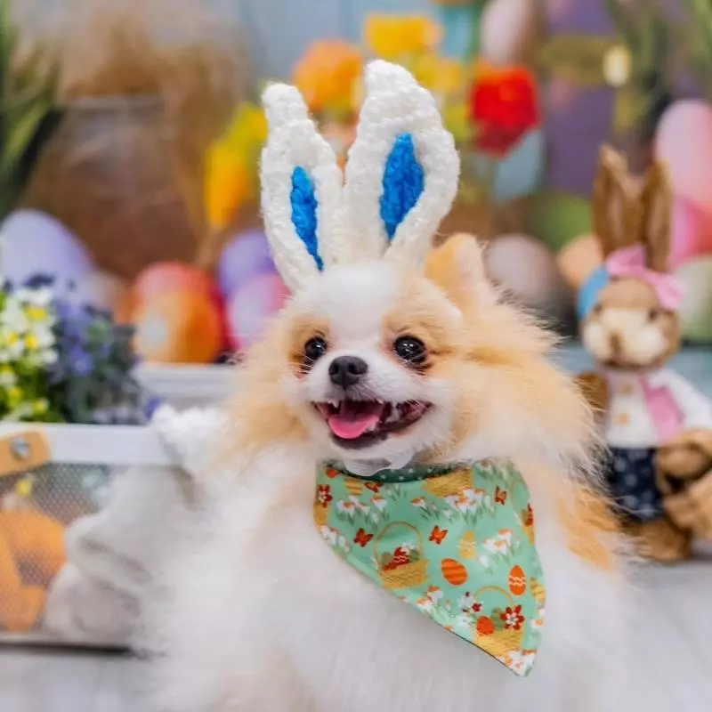 Acessórios temáticos