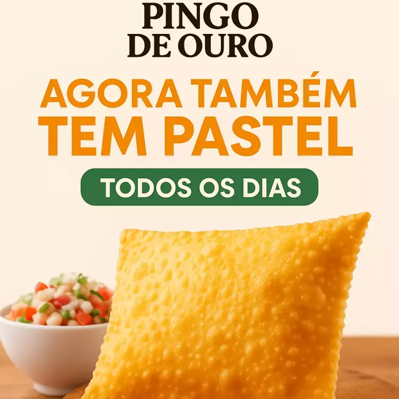 Pastel Carne Seca