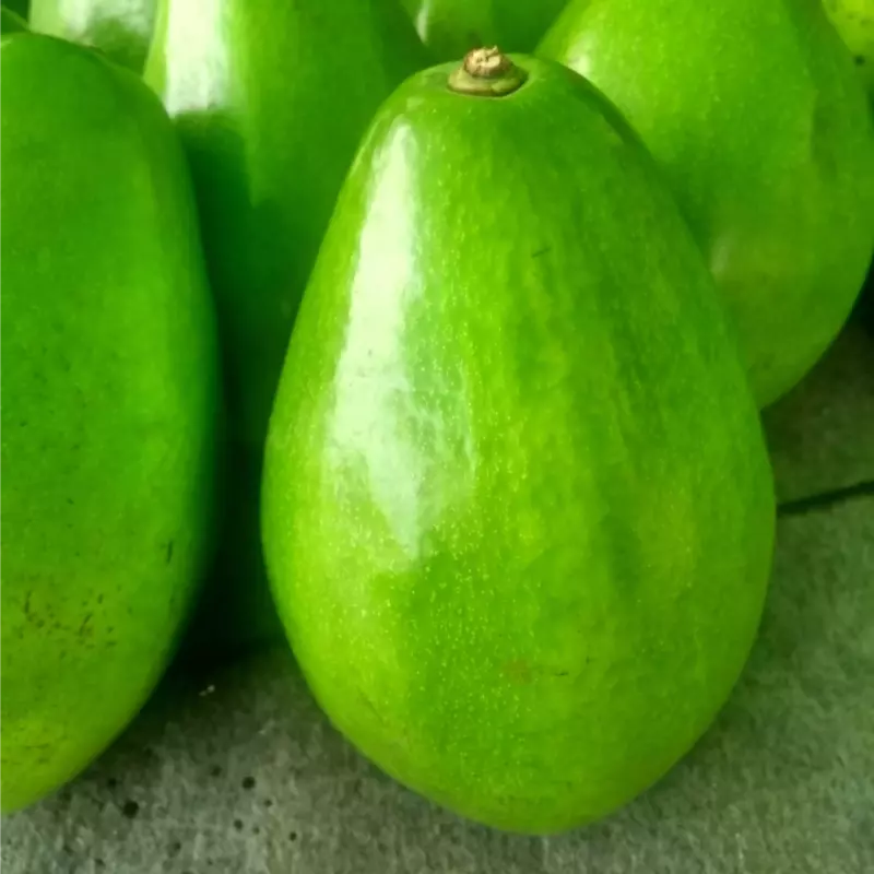Aguacate papelillo 11.000