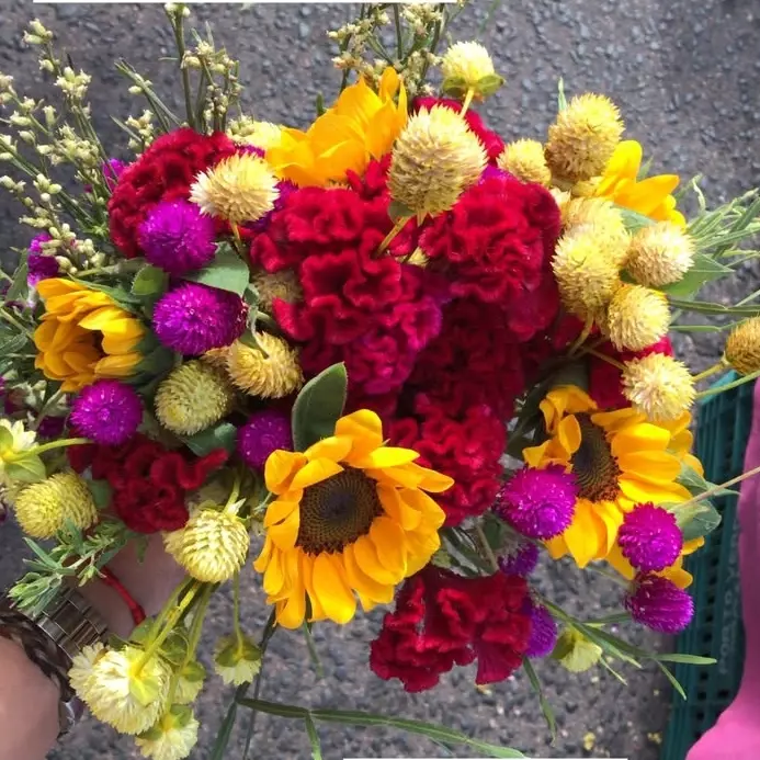 Buquê Flores do campo