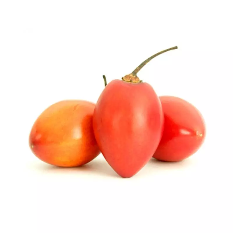 Tomate de Árbol Común