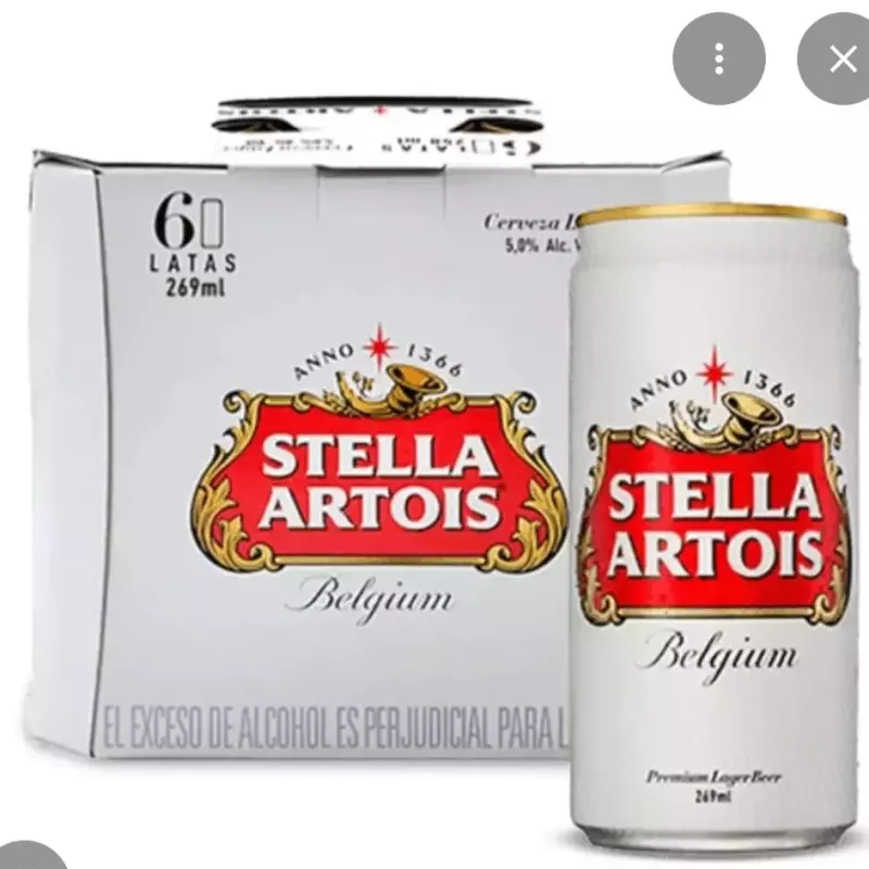 Sixpack Stella artois