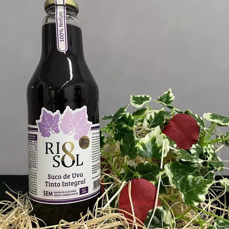 Suco de uva Rio Sol 300ml