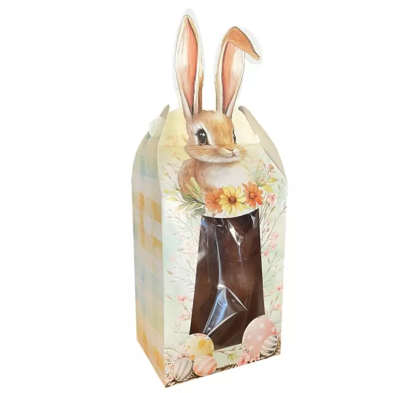 CAIXA COELHOS