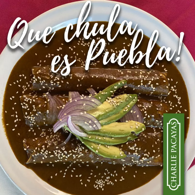 Enmoladas de Pollo