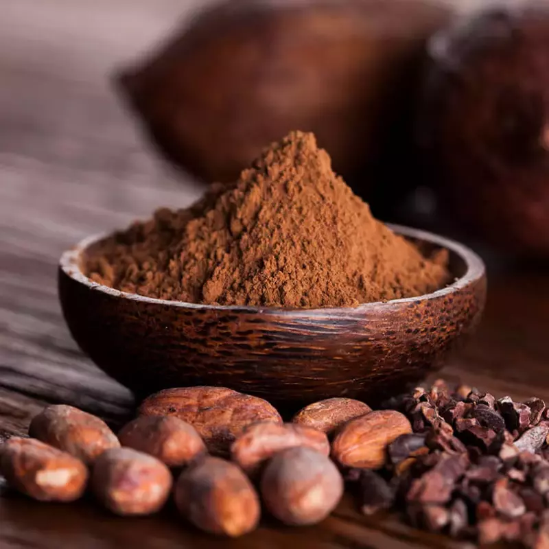 Cacao molido orgánico