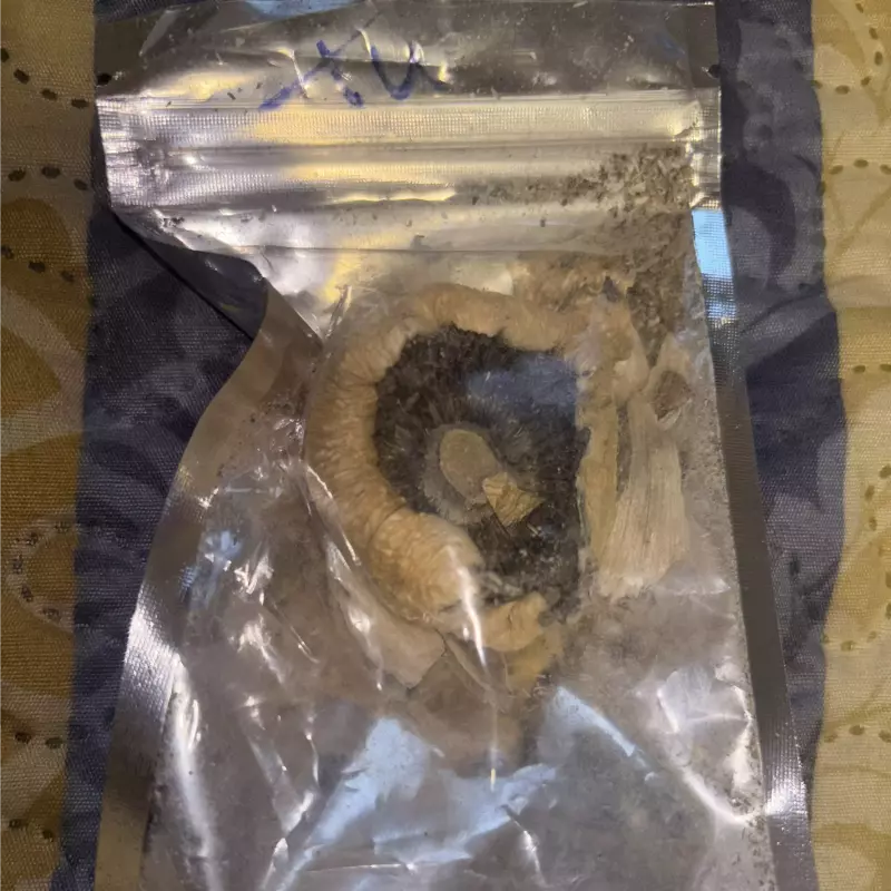 MAGIC MUSHROOMS: 4 STRAINS (8th’s)