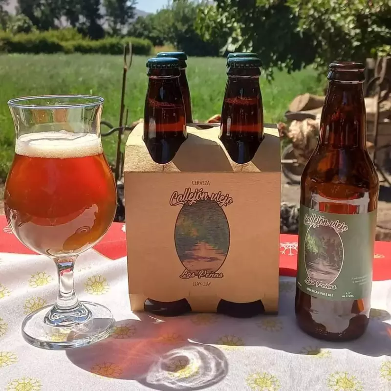 "callejón viejo las peñas "Pale ale.