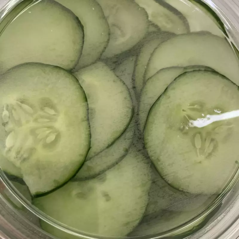 Pepino em rodelas para Sunomono