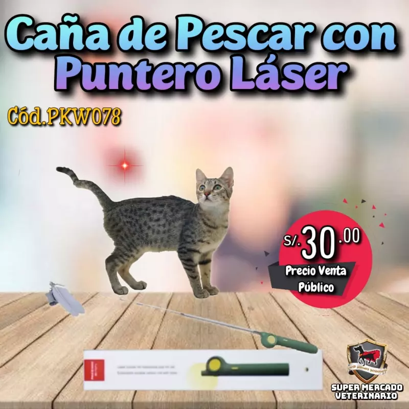 Caña de Pescar con Puntero Láser