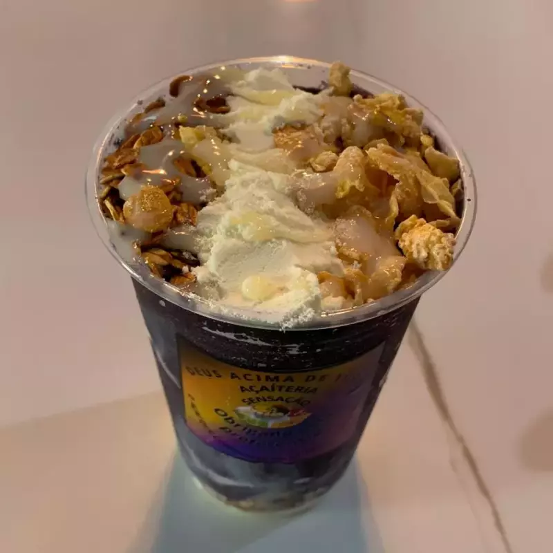 AÇAÍ TRADICIONAL 300ML N°1