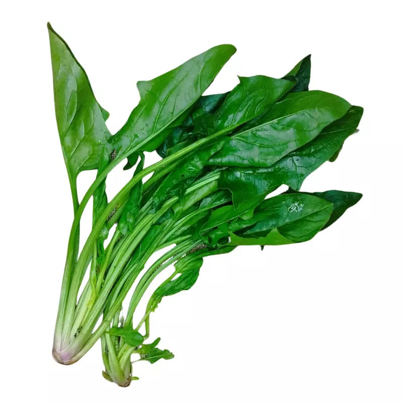 Espinaca Orgánica x 500 g